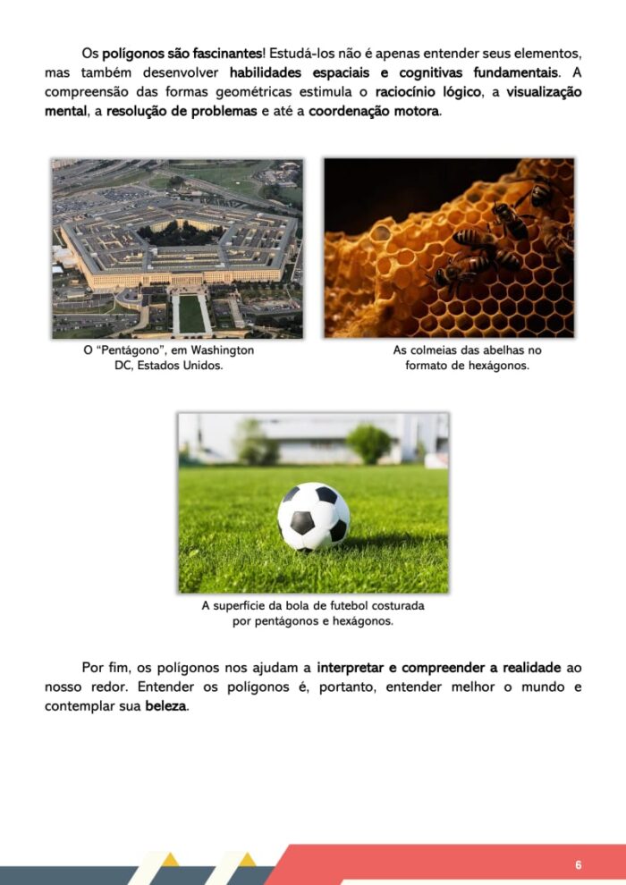 8º Ano - Teoria & Exercícios (2º Semestre) - Imagem 6